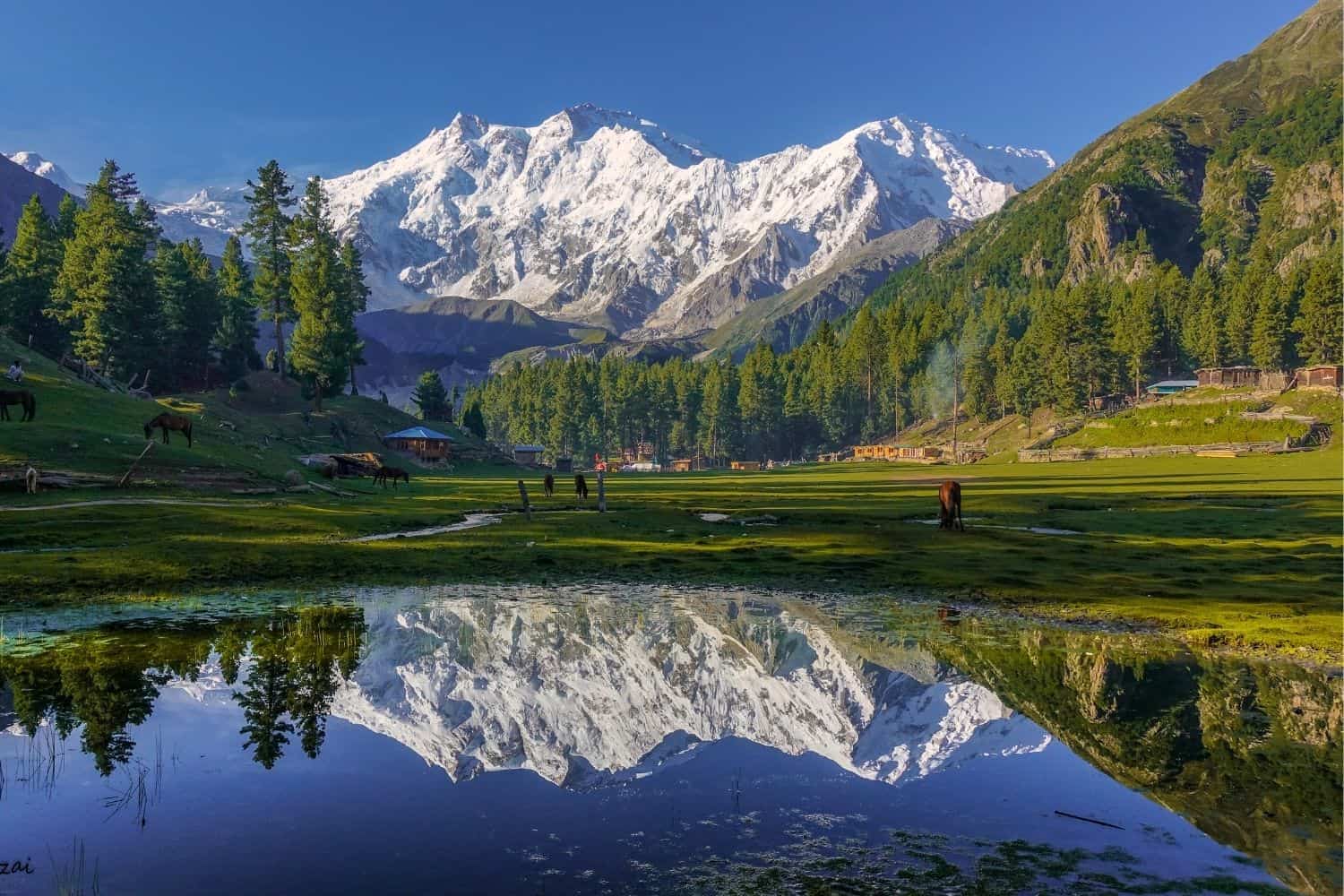 Fairy Meadows Tour 2021