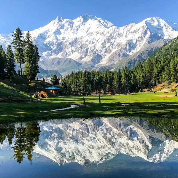 Fairy Meadows & Nanga Parbat