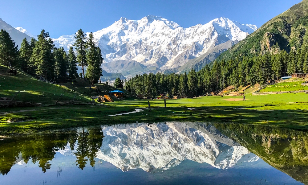 Fairy Meadows & Nanga Parbat