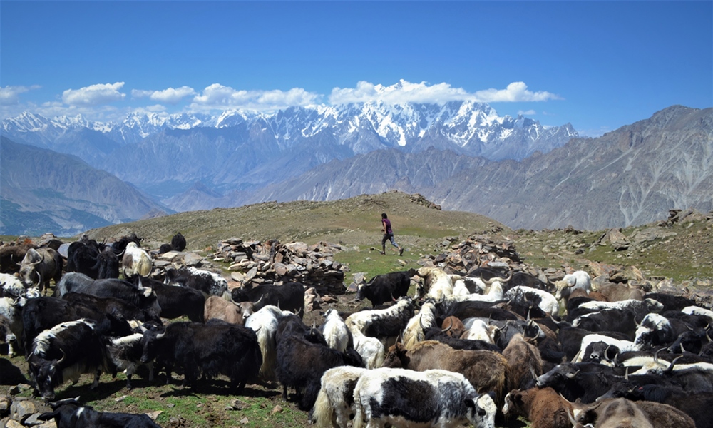 Wild & Adventure Tours